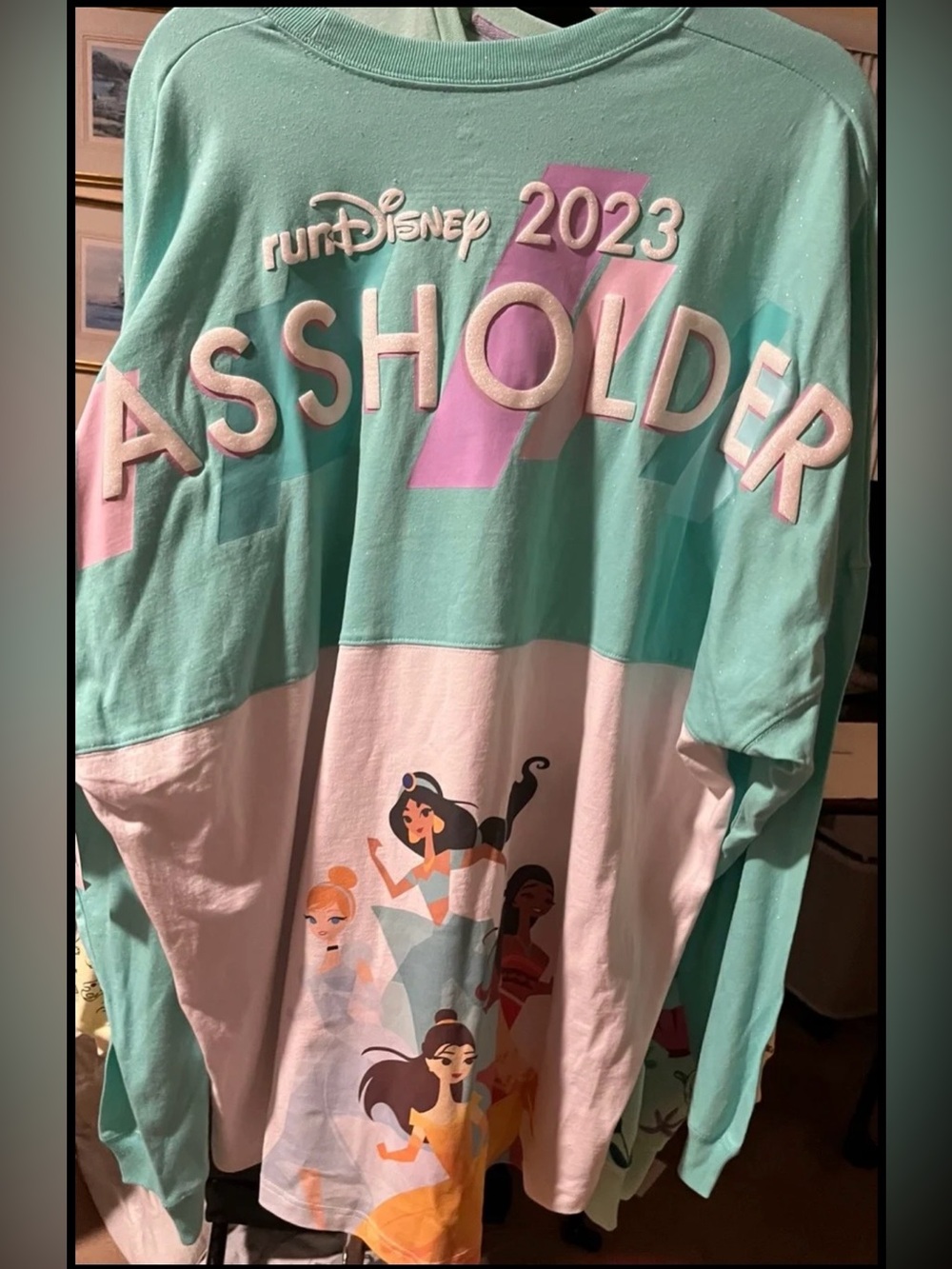 RunDisney 15th Anniversary 2023 Princess Half Marathon Passholder Spirit Jersey